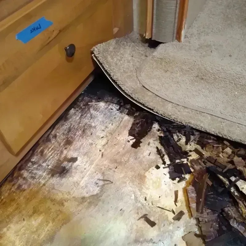 Best Wood Floor Water Damage Service in Zillah, WA